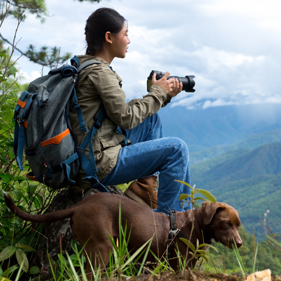 Third Eye Travel CMS